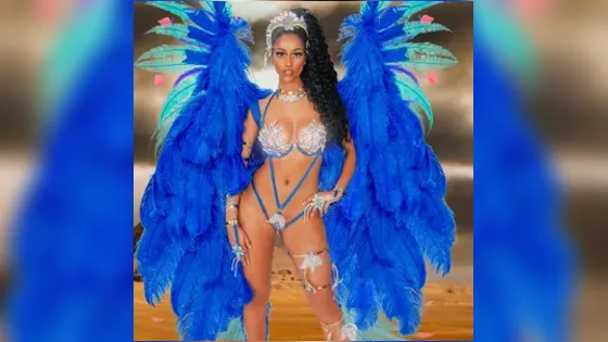 22 Wire bra ideas  carnival outfits, carnival costumes, carnival bra