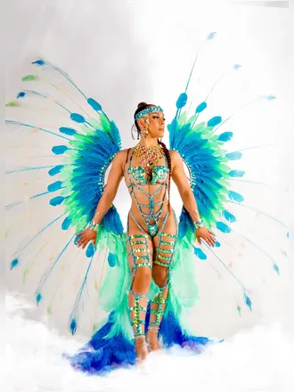 Our Costumes - PURE Carnival  Carnival outfits, Carnival costumes, Carnival  fashion